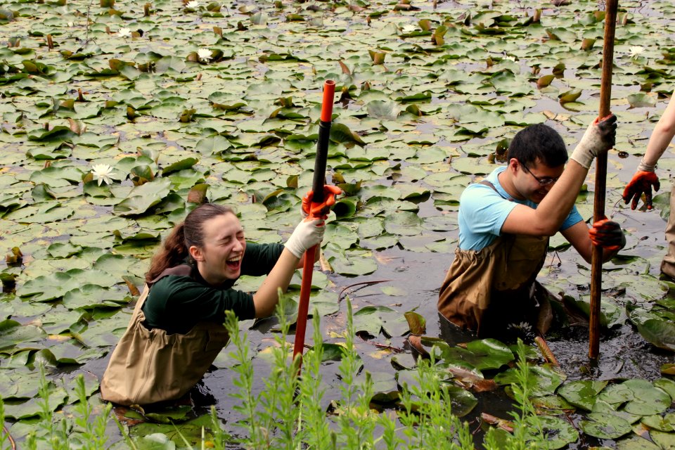 Kenilworth Aquatic Gardens