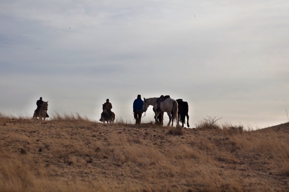 Las Cienegas National Conservation Area