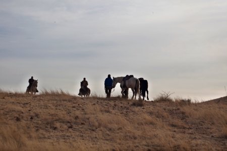 Las Cienegas National Conservation Area
