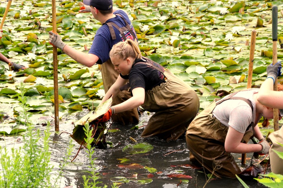 Kenilworth Aquatic Gardens