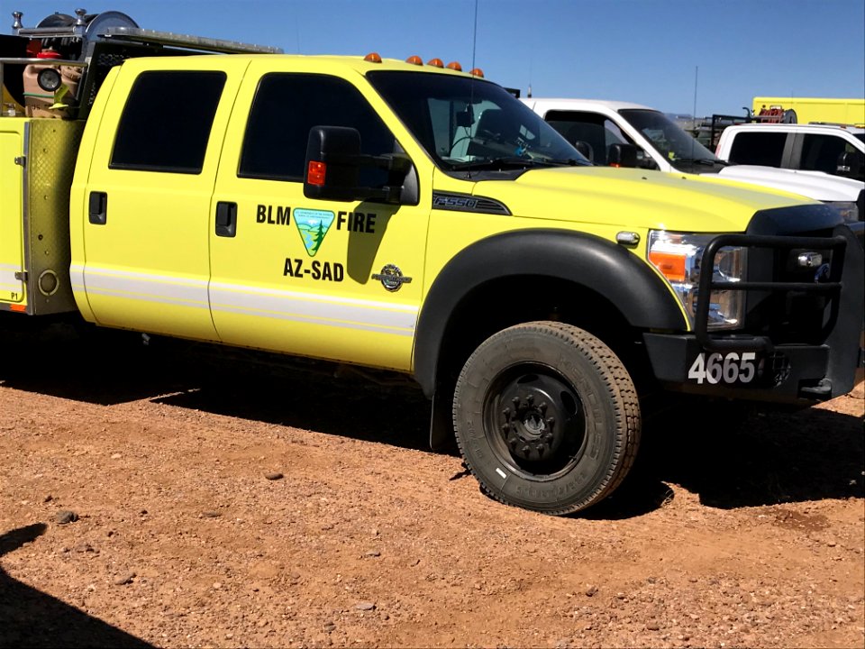 Wildland firefighters for the Gila District