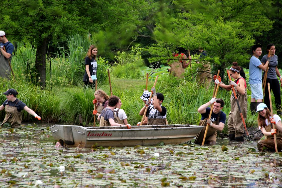 Kenilworth Aquatic Gardens