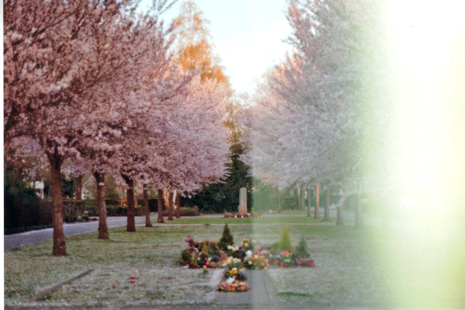 SCAN010