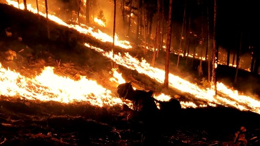 Aravaipa Veteran Fire Crew