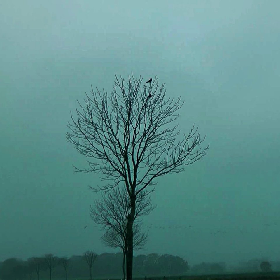 Heimat (Ostfriesland)