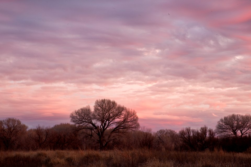 San Pedro Riparian National Conservation Area