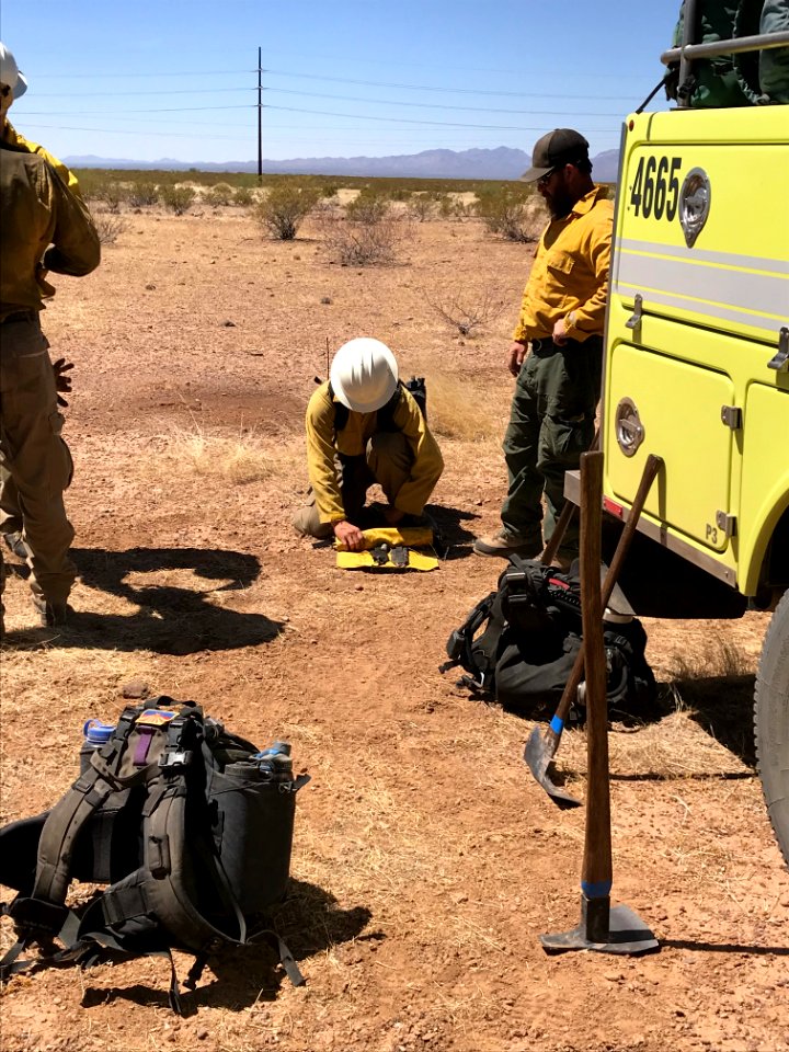 Wildland firefighters for the Gila District