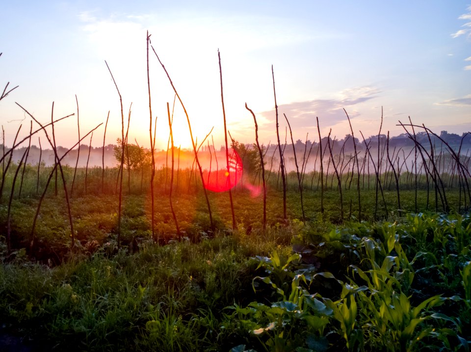 Sunrise near Krasnosilka village Shepetivskyi rayon