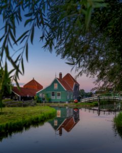 A cheese farm in Zaandam, Netherlands