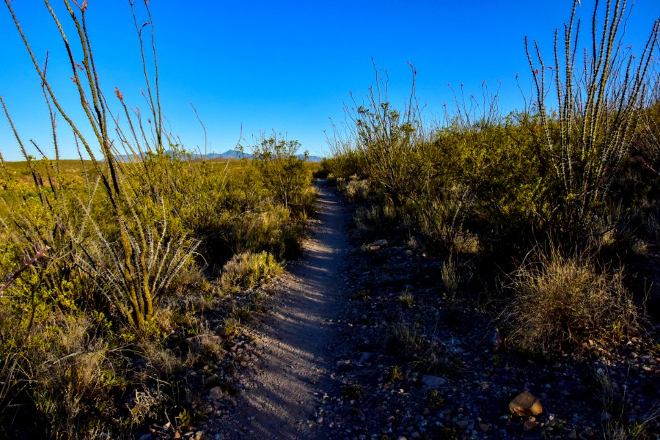 Arizona National Scenic Trail