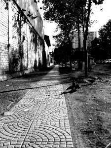 Santiago de Chile