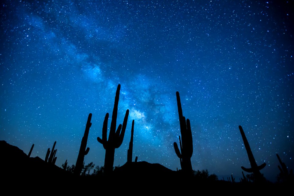 Sonoran Desert National Monument