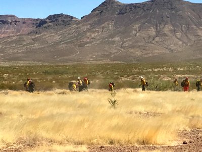 Wildland firefighters for the Gila District