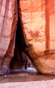 Vermilion Cliffs National Monument