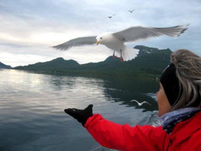 Norvegia - Isole Lofoten Luglio 2011