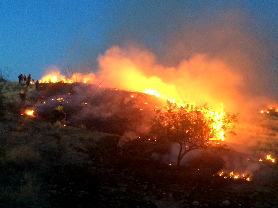 Aravaipa Veteran Fire Crew
