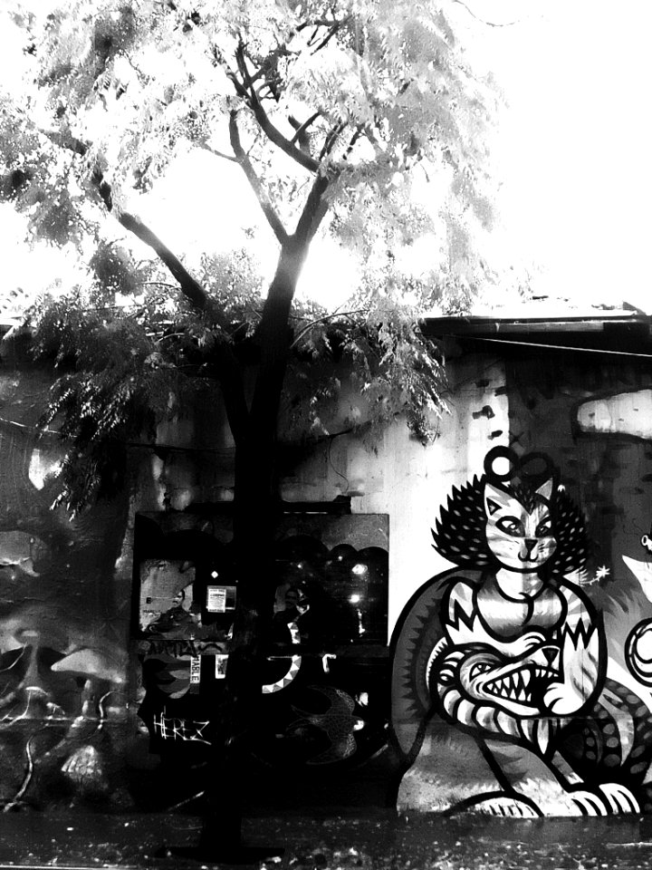 Santiago de Chile