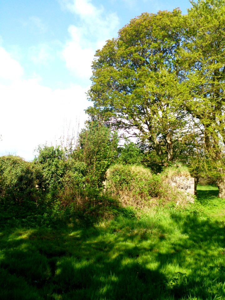 Images of Summerhill, Co. Meath