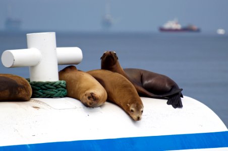 Boating Trip