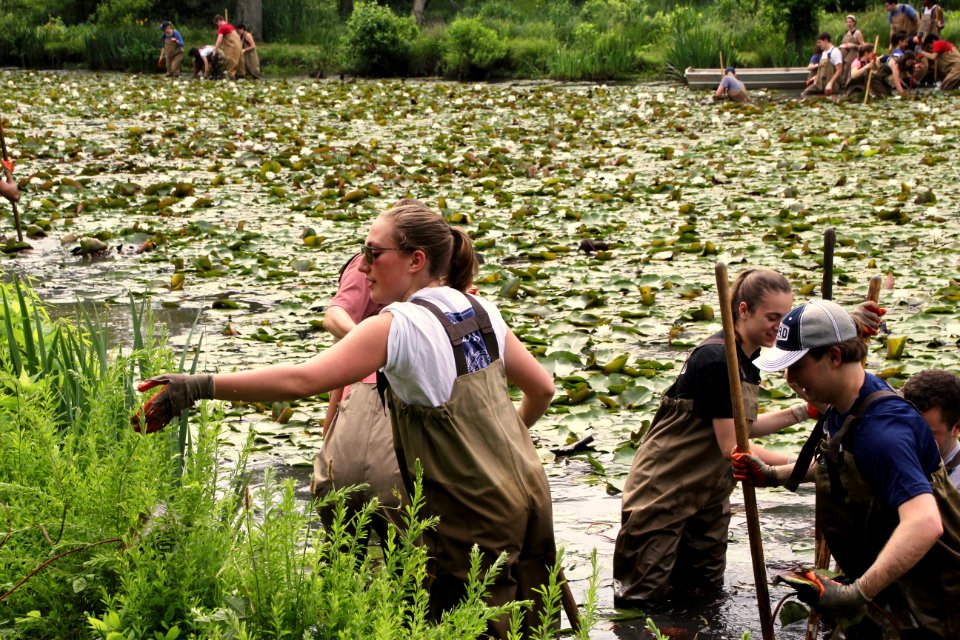 Kenilworth Aquatic Gardens