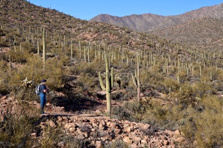 Arizona National Scenic Trail