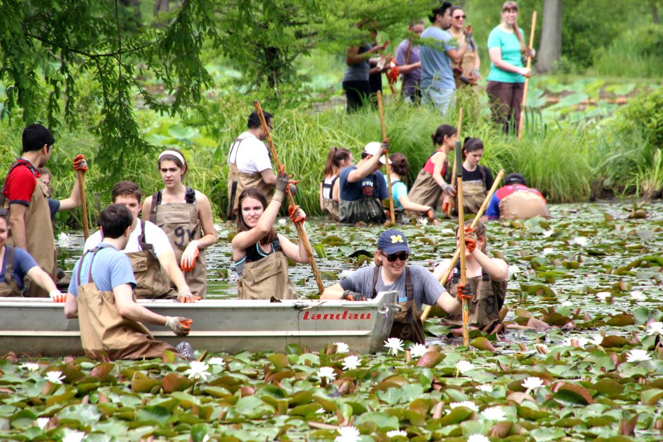 Kenilworth Aquatic Gardens