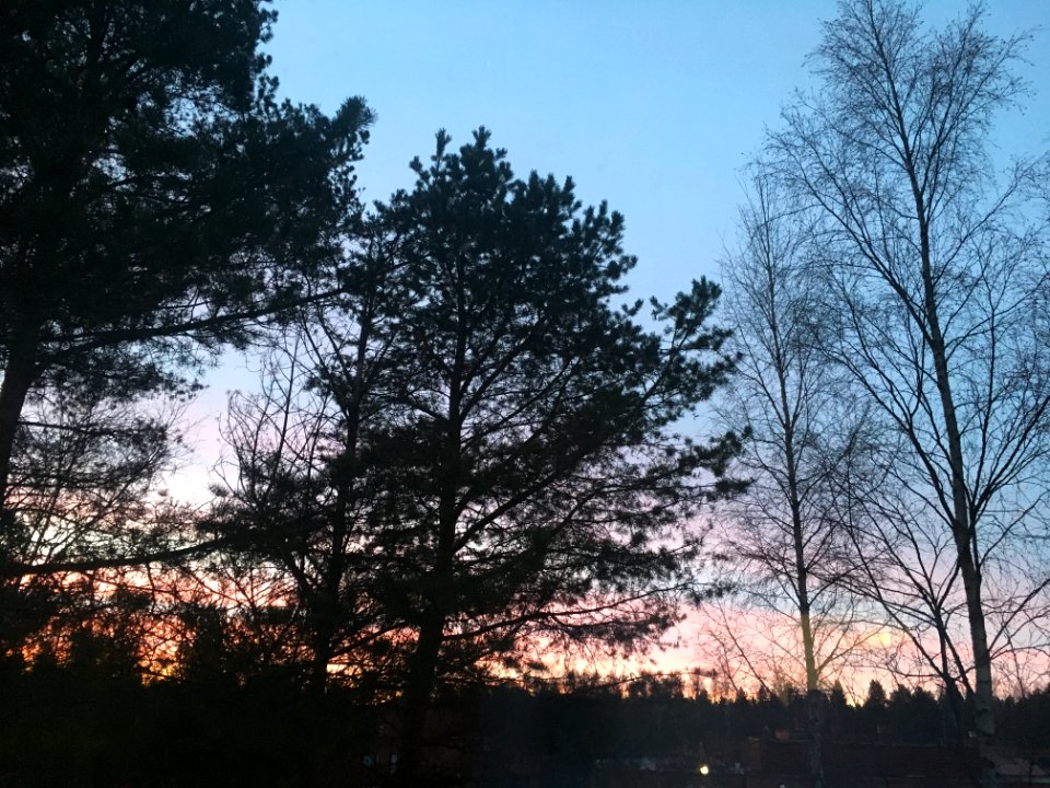 Vanilla Sky - Oulu, Finland