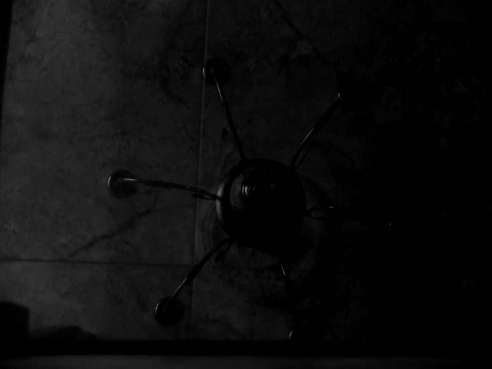 recuerdo.en.descomposición (21)
