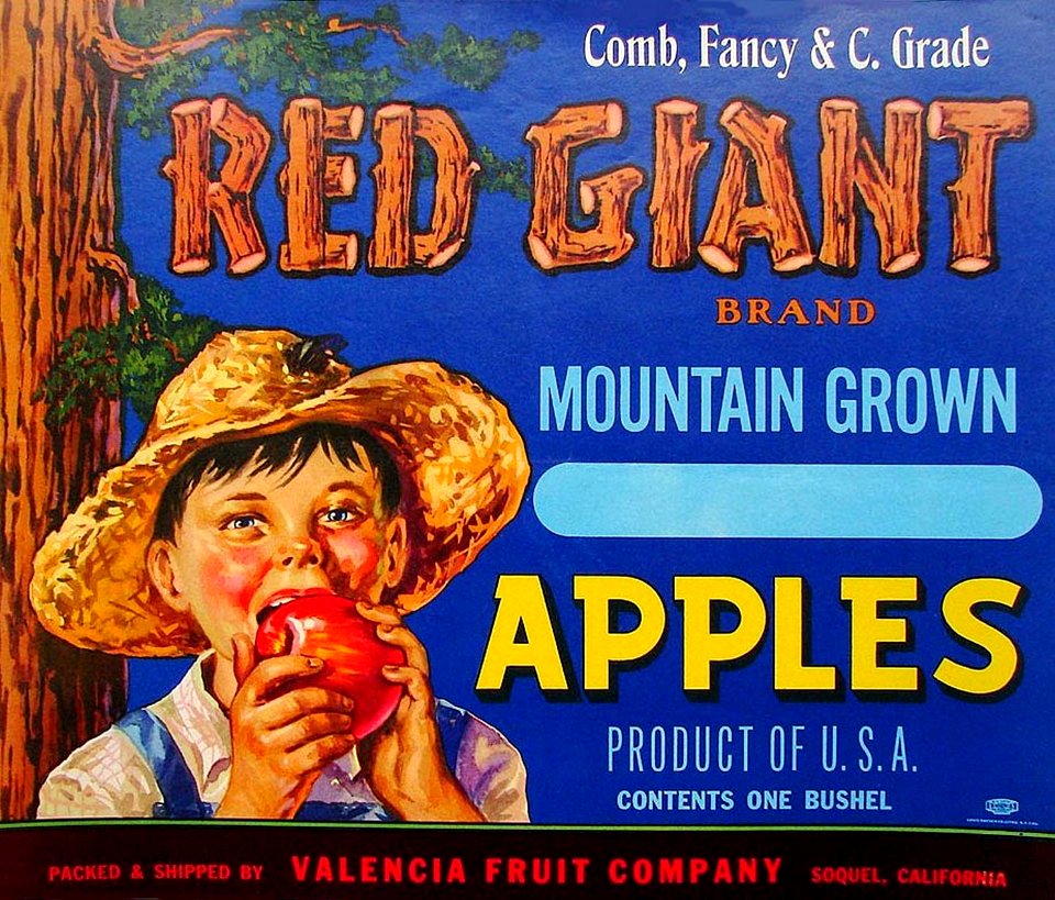1940s Red Giant Brand Mountain Grown Apples