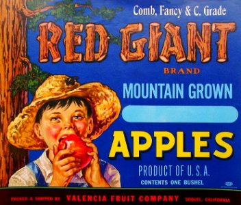 1940s Red Giant Brand Mountain Grown Apples