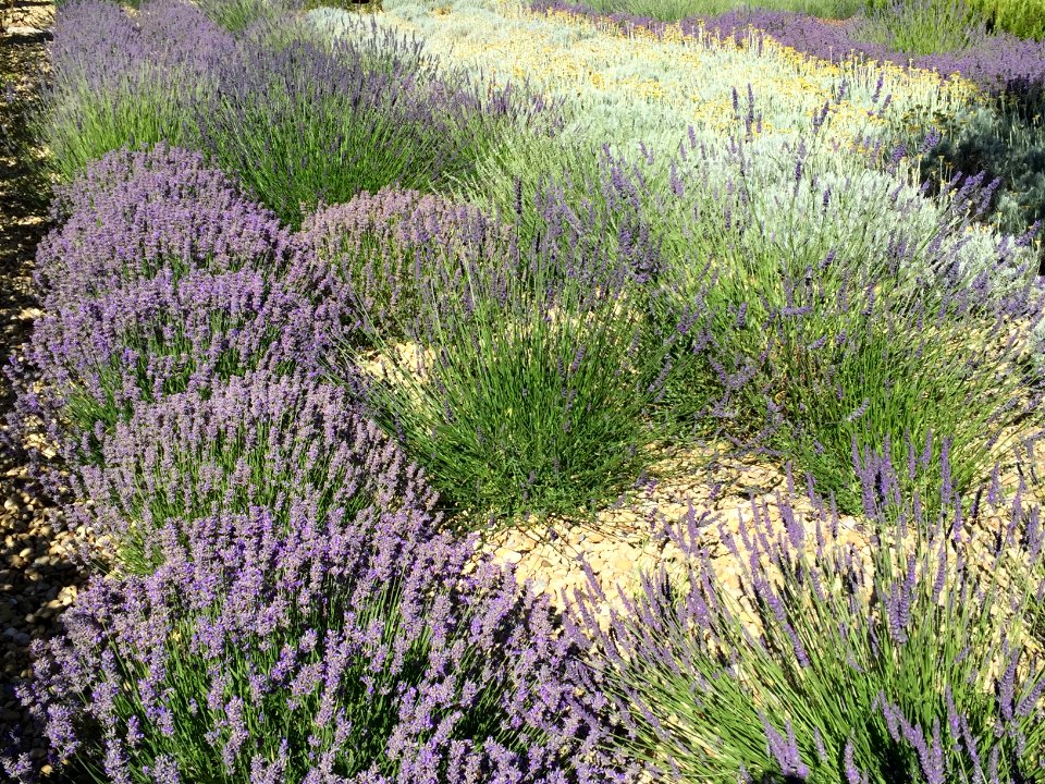 2016 Jun Provence 366