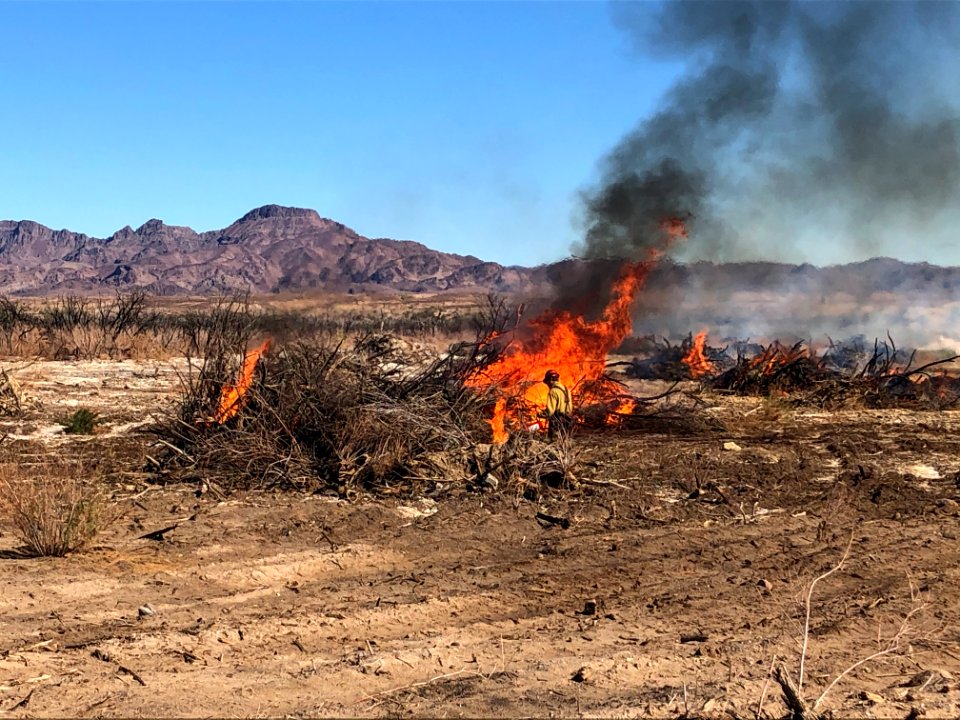 Prescribed burns near Walter's Camp