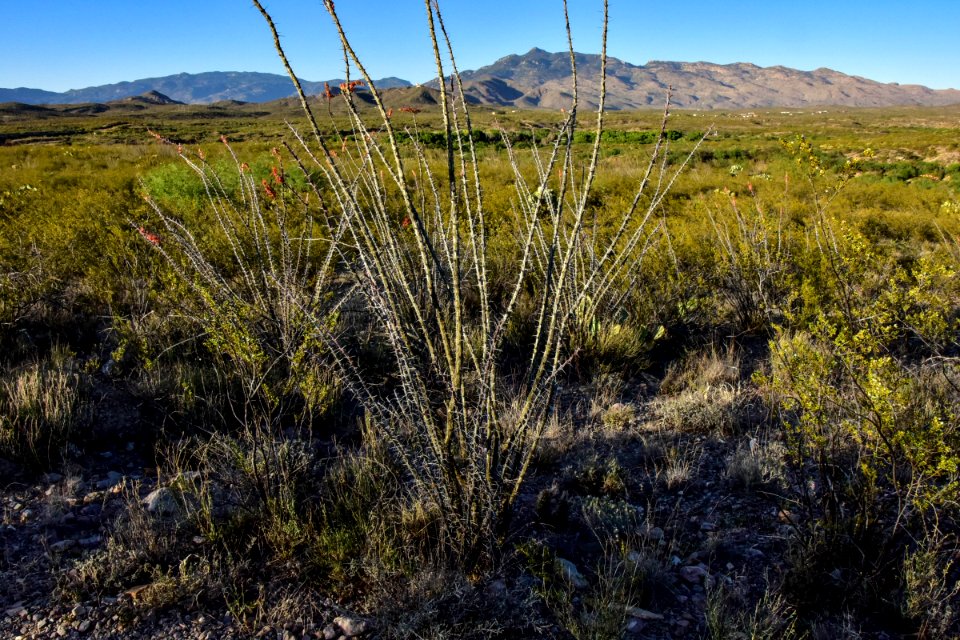 Arizona National Scenic Trail