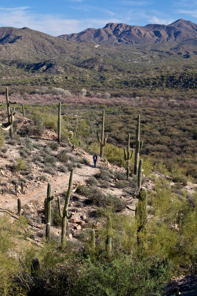 Arizona National Scenic Trail