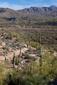Arizona National Scenic Trail