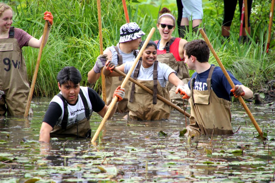 Kenilworth Aquatic Gardens