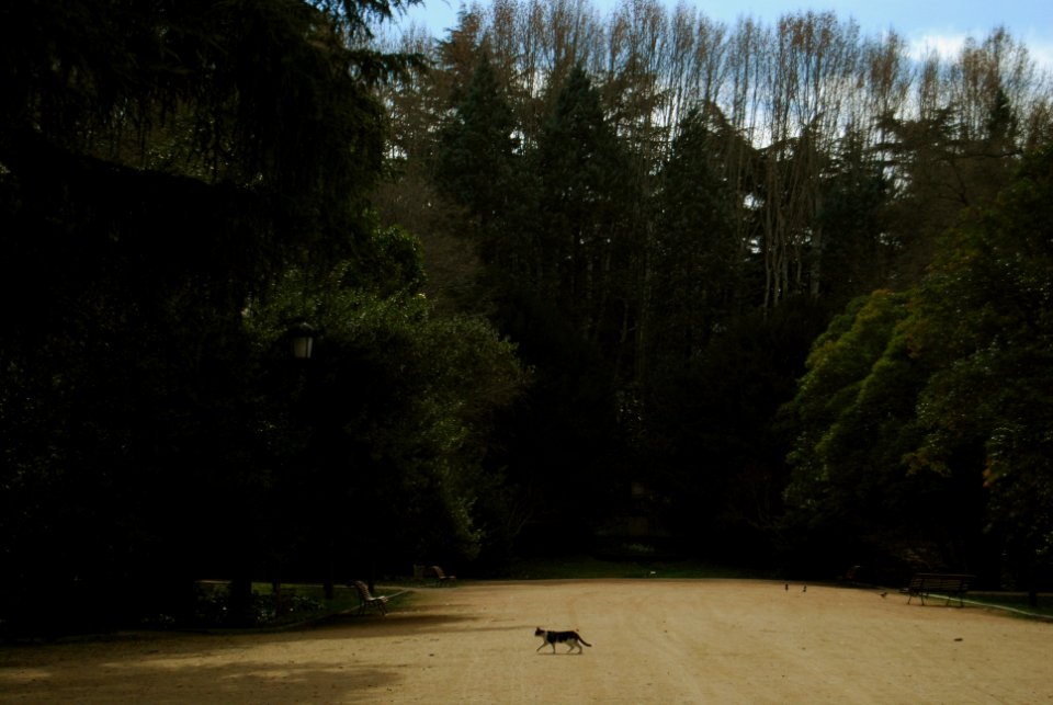 Jardines del campo del moro, Madrid