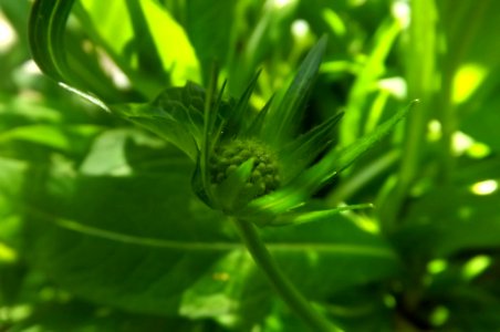 DSCF8701