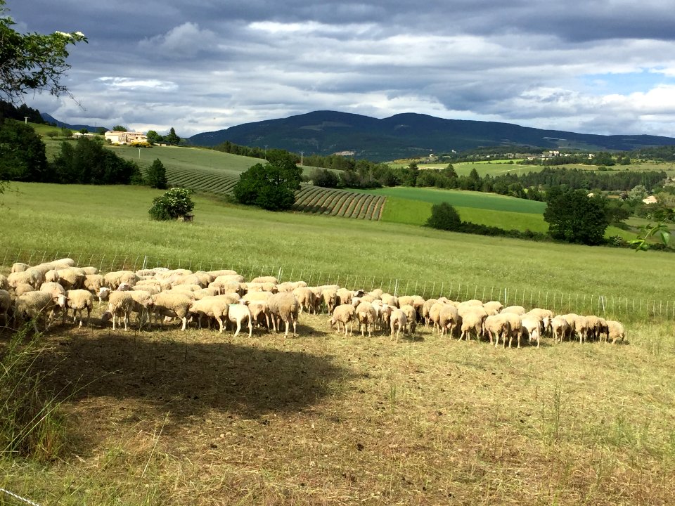 2016 Jun Provence 458