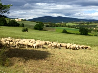 2016 Jun Provence 458