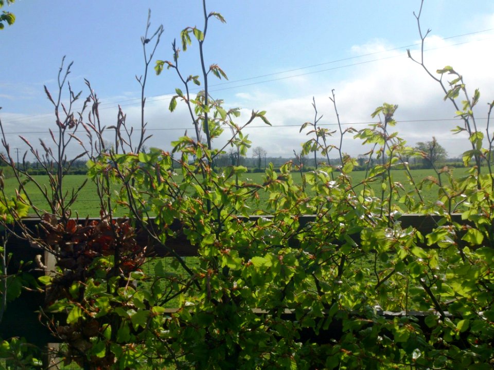 Images of Summerhill, Co. Meath