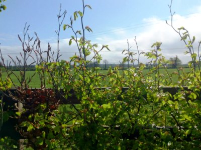 Images of Summerhill, Co. Meath