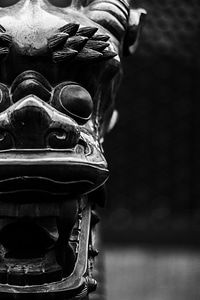 China beijing lion