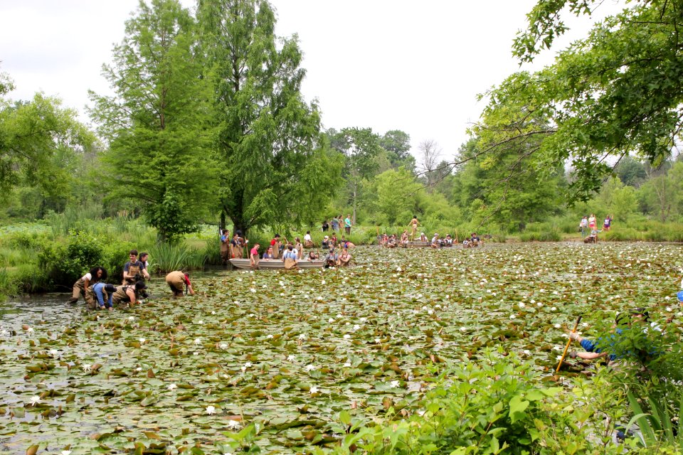 Kenilworth Aquatic Gardens