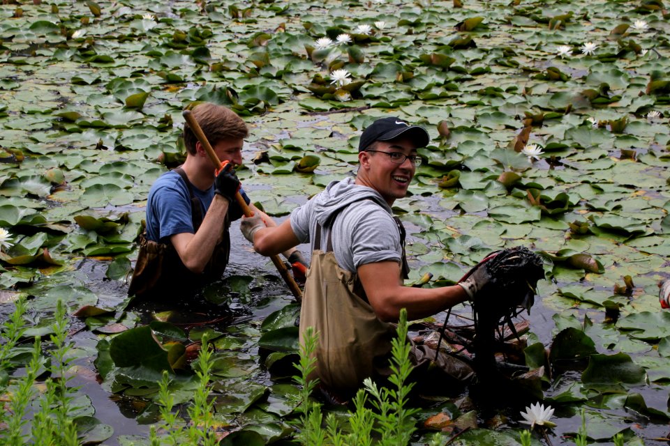 Kenilworth Aquatic Gardens