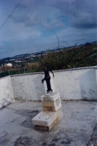 Fonte de Armés 2003