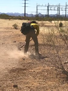 Wildland firefighters for the Gila District