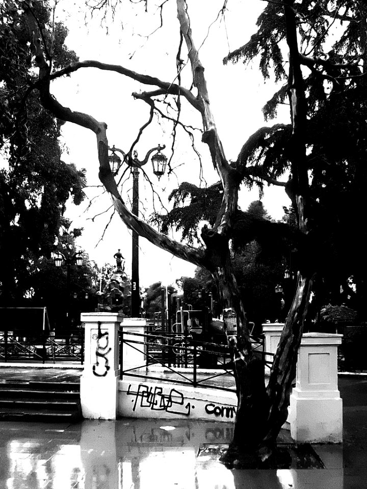 Santiago de Chile