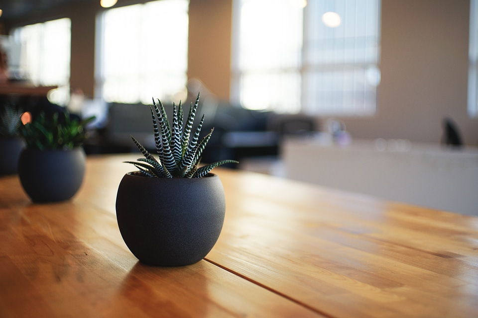 Pot potted table