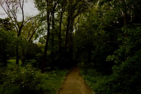 Jardines del Campo del Moro, Mayo 2016